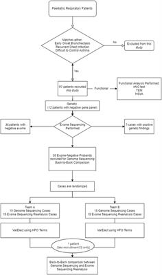 Functional Evaluation and Genetic Landscape of Children and Young Adults Referred for Assessment of Bronchiectasis